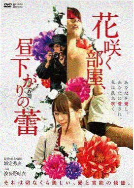 日本少妇电影作品三号街区的午后封面